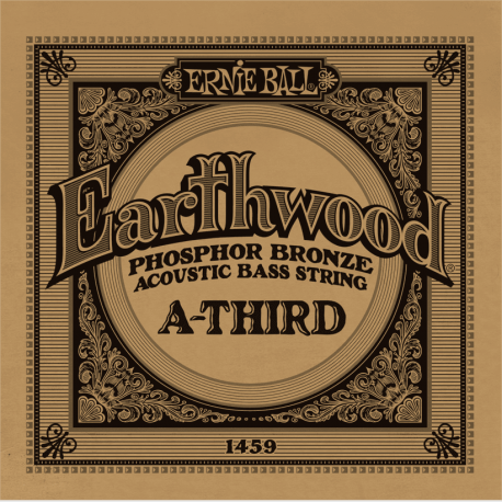 ERNIE BALL Earthwood - basse acoustique phosphore bronze 80