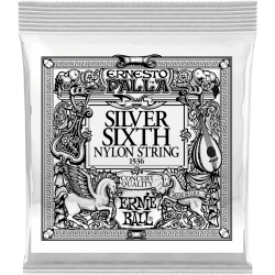 ERNIE BALL Ernesto palla nylon 6e argenté