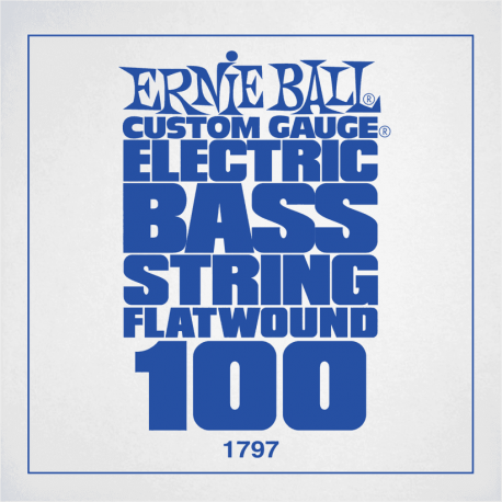 ERNIE BALL Slinky flatwound 100