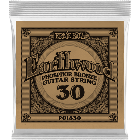 ERNIE BALL Earthwood phosphore bronze 030