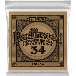 ERNIE BALL Earthwood phosphore bronze 034