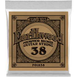 ERNIE BALL Earthwood phosphore bronze 038