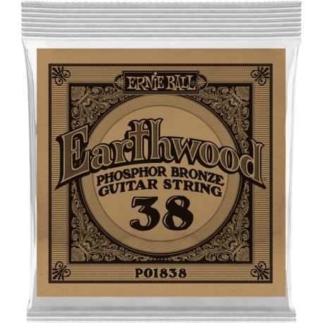 ERNIE BALL Earthwood phosphore bronze 038