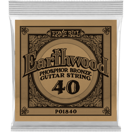 ERNIE BALL Earthwood phosphore bronze 040