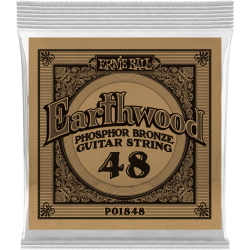 ERNIE BALL Earthwood phosphore bronze 048