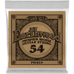 ERNIE BALL Earthwood phosphore bronze 054