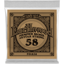 ERNIE BALL Earthwood phosphore bronze 058