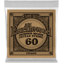 ERNIE BALL Earthwood phosphore bronze 060