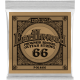 ERNIE BALL Earthwood phosphore bronze 066