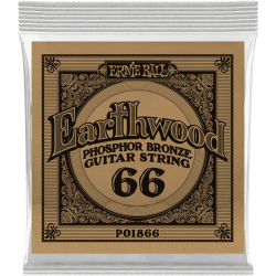 ERNIE BALL Earthwood phosphore bronze 066