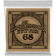 ERNIE BALL Earthwood phosphore bronze 068