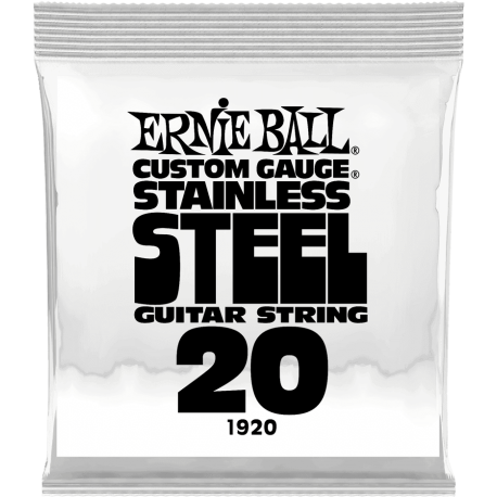 ERNIE BALL Slinky stainless steel 20