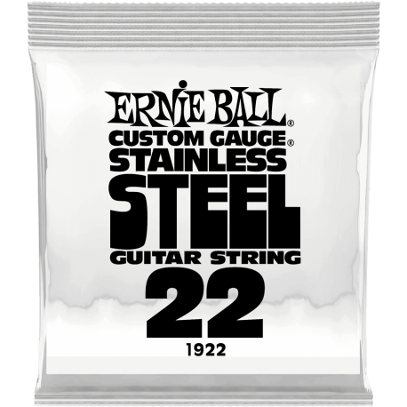 ERNIE BALL Slinky stainless steel 22