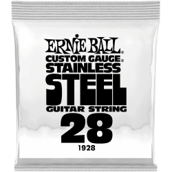 ERNIE BALL Slinky stainless steel 28