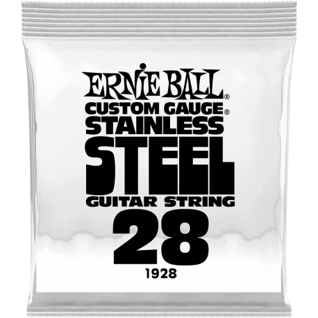 ERNIE BALL Slinky stainless steel 28