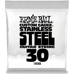 ERNIE BALL Slinky stainless steel 30