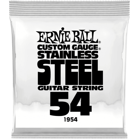 ERNIE BALL Slinky stainless steel 54