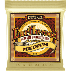 ERNIE BALL Earthwood 80/20 bronze medium 13-56