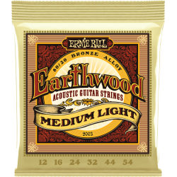 ERNIE BALL Earthwood 80/20 bronze medium light 12-54