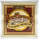 ERNIE BALL Earthwood 80/20 bronze medium /12 cordes 11-52