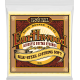 ERNIE BALL Earthwood 80/20 bronze silk&steel/12 cordes 9-46