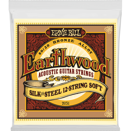 ERNIE BALL Earthwood 80/20 bronze silk&steel/12 cordes 9-46