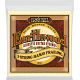 ERNIE BALL Earthwood 80/20 bronze banjo frailing 10-24
