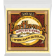 ERNIE BALL Earthwood 80/20 bronze banjo bluegrass 9-20