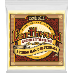 ERNIE BALL Earthwood 80/20 bronze banjo bluegrass 9-20