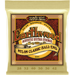 ERNIE BALL Earthwood 80/20 bronze nylon 28-42
