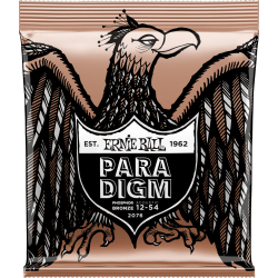 ERNIE BALL Paradigm phosphore bronze medium light 12-54