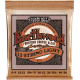 ERNIE BALL Earthwood phosphore bronze light /12 cordes 9-46