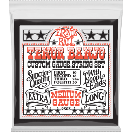 ERNIE BALL Stainless steel banjo tenor medium 10-30