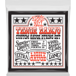 ERNIE BALL Stainless steel banjo tenor light 9-28