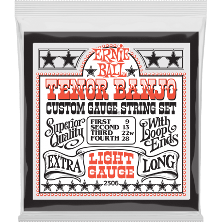 ERNIE BALL Stainless steel banjo tenor light 9-28