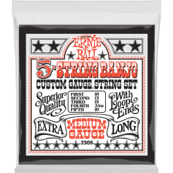 ERNIE BALL Stainless steel banjo medium 10-10