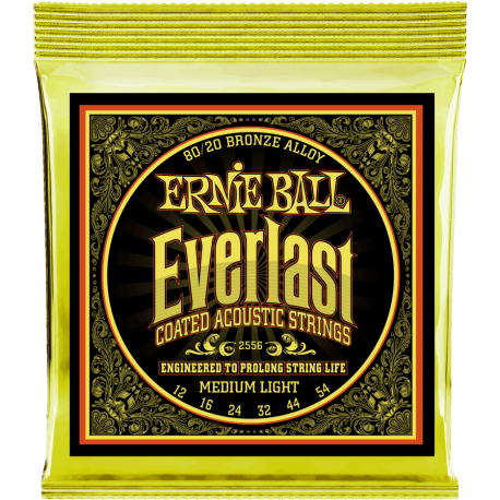ERNIE BALL Everlast coated 80/20 bronze medium light 12-54