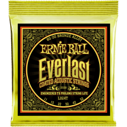 ERNIE BALL Everlast coated 80/20 bronze light 11-52