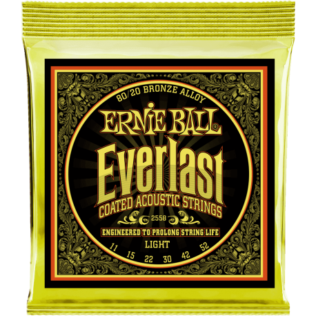 ERNIE BALL Everlast coated 80/20 bronze light 11-52