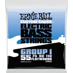 ERNIE BALL Flatwound group I 55-110