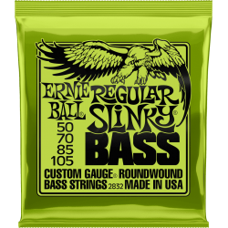 ERNIE BALL Regular slinky 50-105