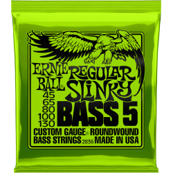 ERNIE BALL Regular slinky 5 cordes 45-130