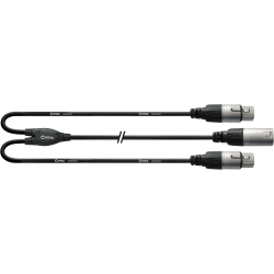 CORDIAL Câble Y bretelle XRL mâle / 2 XLR femelles 30 cm