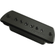 FISHMAN Blackstack double bobinage passif pour rosace