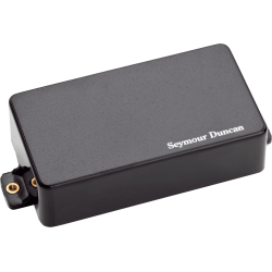 SEYMOUR DUNCAN Blackouts, manche, noir