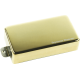 SEYMOUR DUNCAN BLACKOUTS, MANCHE, GOLD