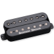SEYMOUR DUNCAN Black Winter, 7c, manche, noir