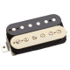 SEYMOUR DUNCAN Pearly Gates, chevalet, zebra