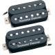 SEYMOUR DUNCAN PEARLY GATES, KIT NOIR