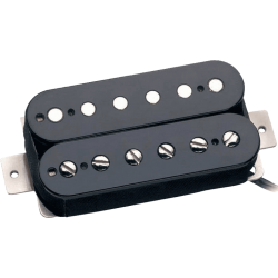 SEYMOUR DUNCAN Alnico II Trembucker, nikel
